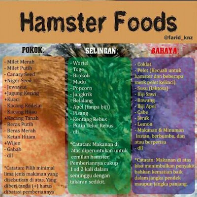 daftar makanan hamster yang baik