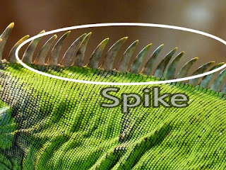 spike iguana