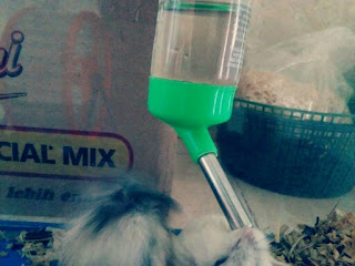 Cara Membuat Tempat Minum Hamster Simpel dan Praktis