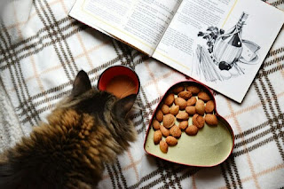 Cara Membuat Makanan Kucing Kering