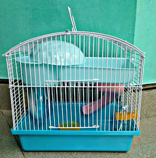 Kandang yang Baik untuk hamster