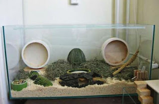 Kandang Hamster Akuarium