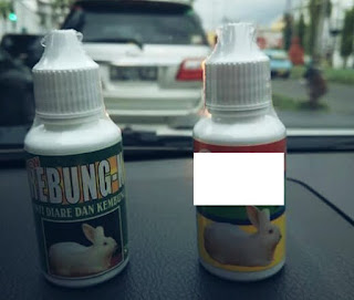 Obat Kelinci Kembung