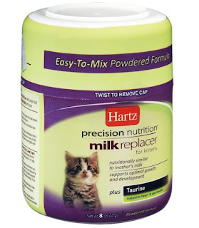 Susu yang Sesuai untuk Anak Kucing Baru Lahir