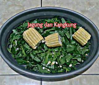 Makanan Burung Lovebird Jagung