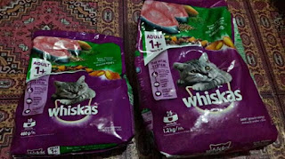 Merk Makanan Kucing yang Bagus dan Murah Whiskas