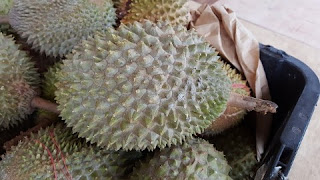 Durian Makanan Untuk Tupai