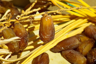 Kurma Makanan Untuk Tupai