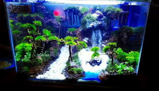 Model Tema Aquascape Terbaik