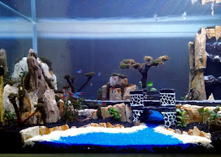 Model Tema Aquascape Terbaik