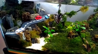 Model Tema Aquascape Terbaik