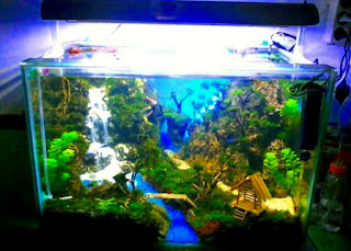 Model Tema Aquascape Terbaik