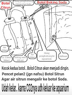 Cara membuat CO2 aquascape