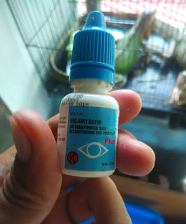 obat Erlamycetin untuk mata Iguana