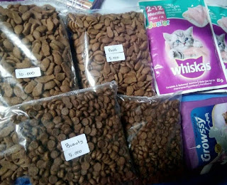 Solusi Kucing Tidak Mau Makan Whiskas Atau Dry Food